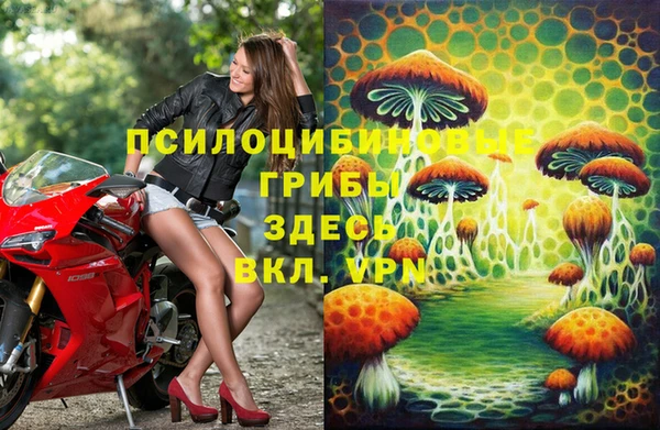 стаф Беломорск