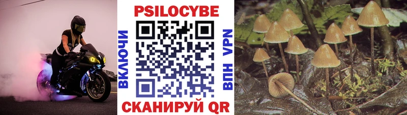 где можно купить   ОМГ ОМГ зеркало  Галлюциногенные грибы Psilocybine cubensis  Белозерск 