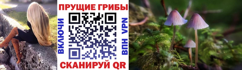 Псилоцибиновые грибы прущие грибы Белозерск